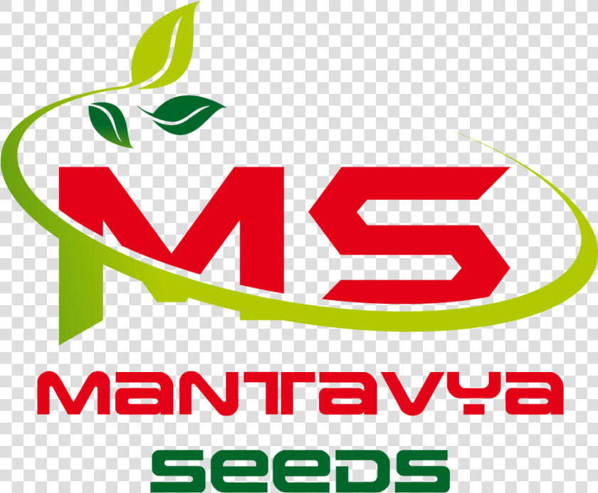 Mantavya Seeds   Castelli  HD Png DownloadTransparent PNG