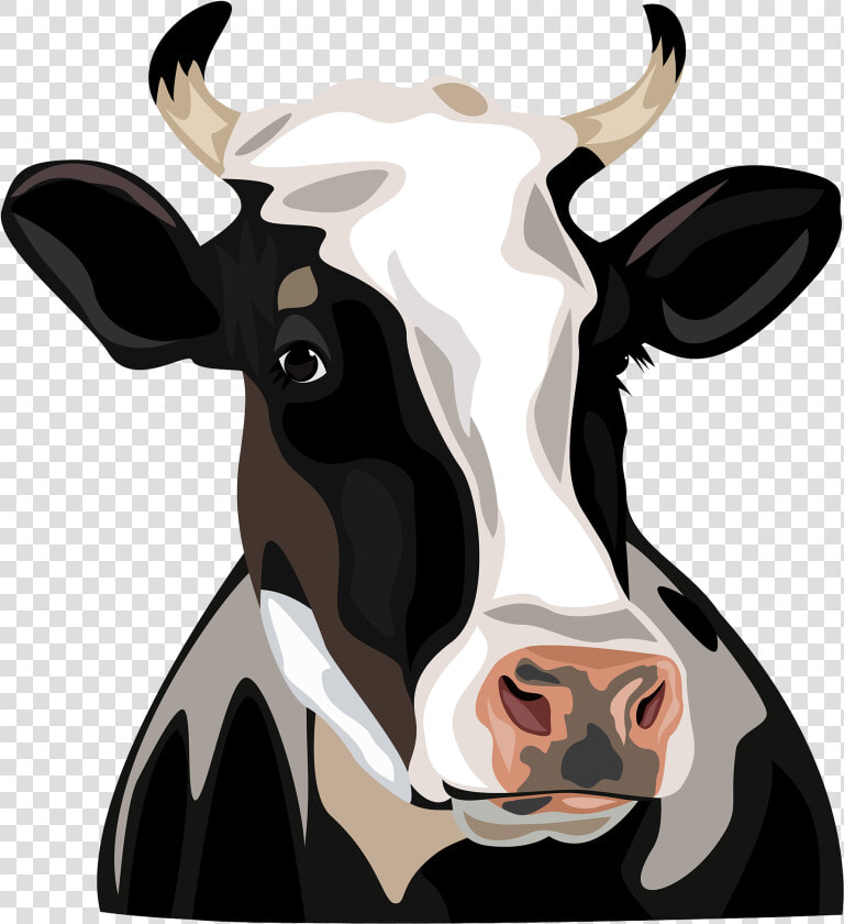 Holstein Friesian Cattle Clip Art   Cabeza De Vaca Png  Transparent PngTransparent PNG