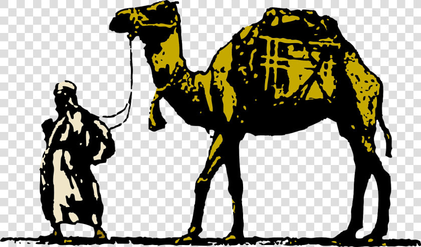 Livestock pack Animal camel   وافق شن طبقة شرح  HD Png DownloadTransparent PNG