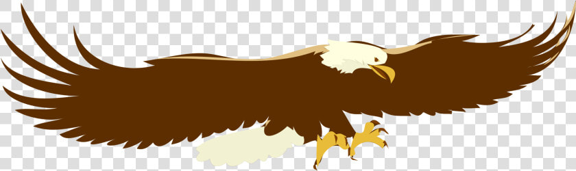 Eagle wildlife bald Eagle   Soaring Eagle Clip Art  HD Png DownloadTransparent PNG