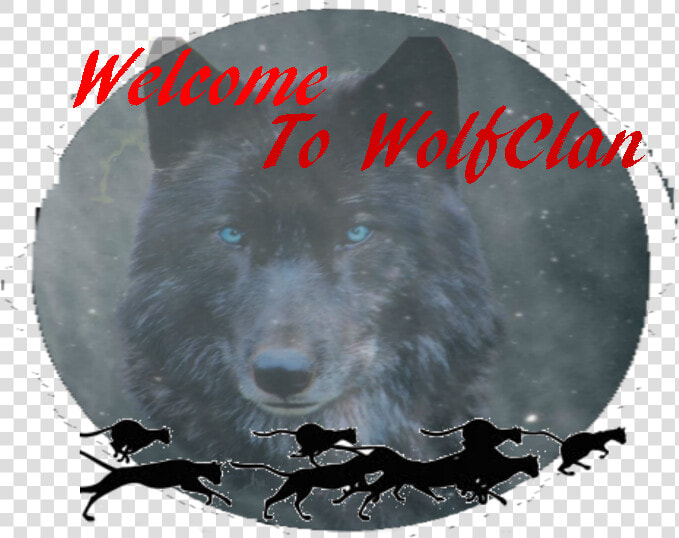 Animal Groups Roleplay Wiki   Dog  HD Png DownloadTransparent PNG