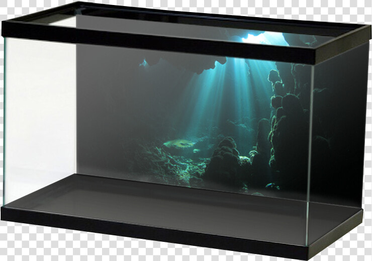 Underwater Cave   Aquarium Background Plain  HD Png DownloadTransparent PNG