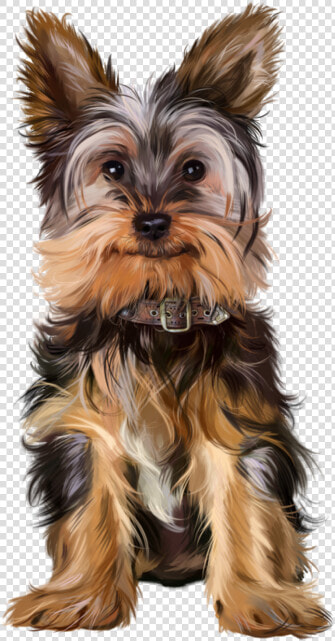 Christmas Dogs Yorkies  HD Png DownloadTransparent PNG