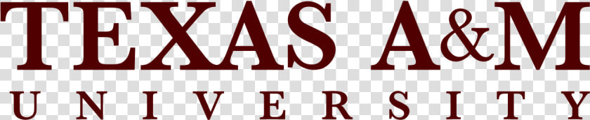 Texas A amp m University Wordmark   Texas A amp m University  HD Png DownloadTransparent PNG