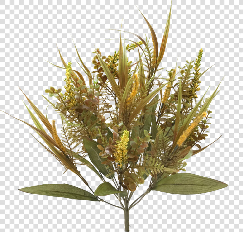 Fall Plastic Mix Grass Bush X   Protea  HD Png DownloadTransparent PNG