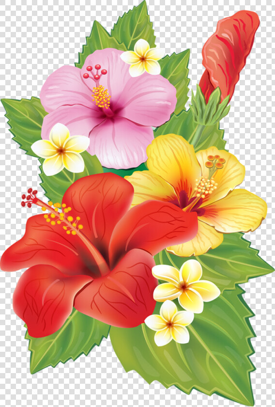 Cc Ca Da F Xxxl Png   Transparent Background Tropical Flowers Png  Png DownloadTransparent PNG