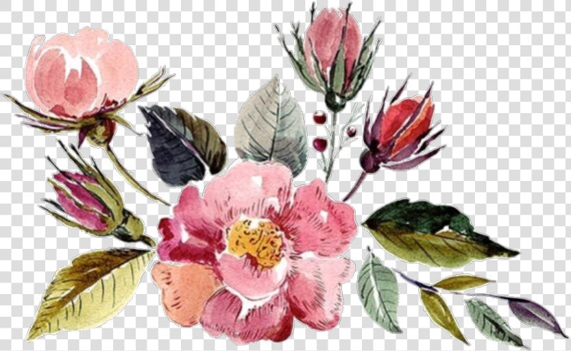  flower  watercolor  watercolorflower  flowers  aesthetic   Aesthetic Watercolor Flowers  HD Png DownloadTransparent PNG