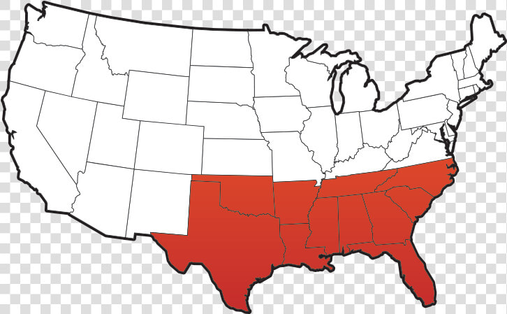 Southern Berry Bushes   Region Is Georgia Located In The Us  HD Png DownloadTransparent PNG