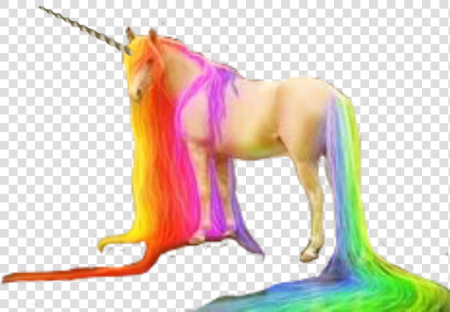  unicorn  horn  unicornhorn  rainbow  rainbowunicorn   Unicornhorn  HD Png DownloadTransparent PNG