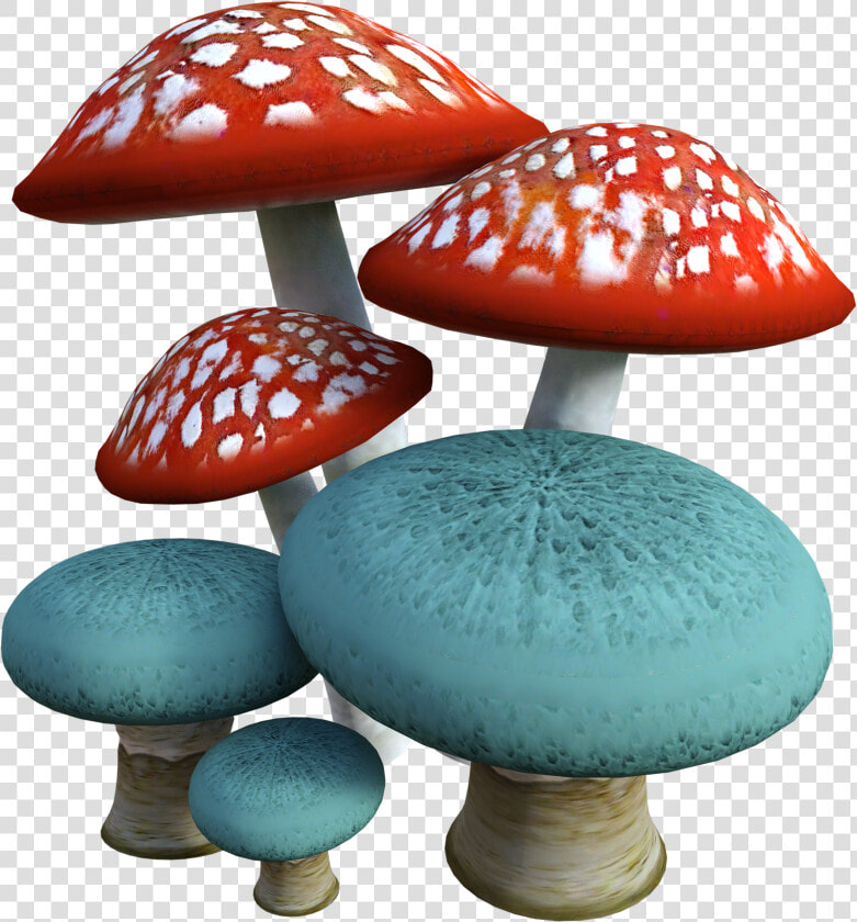 Mushrooms  Mushroom  Fungi  Forest  Nature  Autumn   Fungus Transparent  HD Png DownloadTransparent PNG