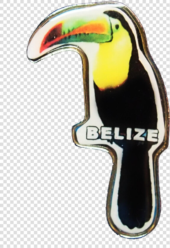 Toucan Pin   Toucan  HD Png DownloadTransparent PNG