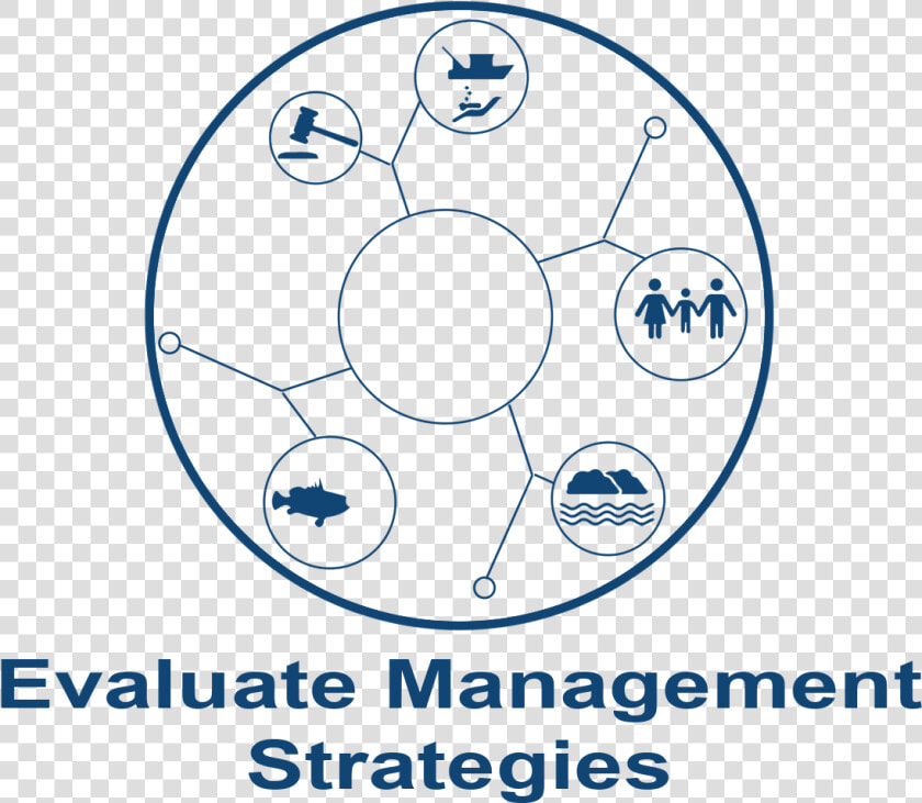 Management Strategy Evaluation   Draw A Soccer Ball Step  HD Png DownloadTransparent PNG