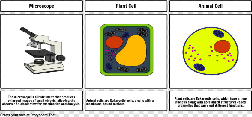 Storyboard  HD Png DownloadTransparent PNG