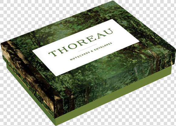 Thoreau Notecards   Grass  HD Png DownloadTransparent PNG