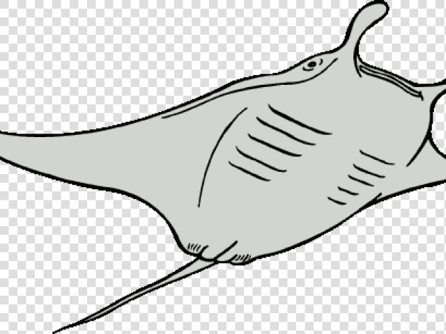 Pomegranate Clipart Black And White   Manta Ray Line Art  HD Png DownloadTransparent PNG