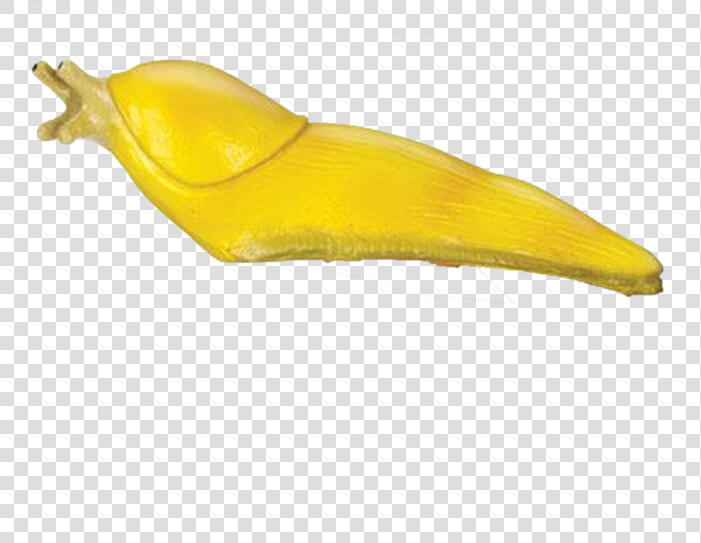 Giant Slug   Slug Transparent  HD Png DownloadTransparent PNG