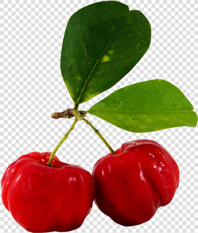 Clip Art Juice Barbados Cherry Fruit   Barbados Cherry Tree Png  Transparent PngTransparent PNG