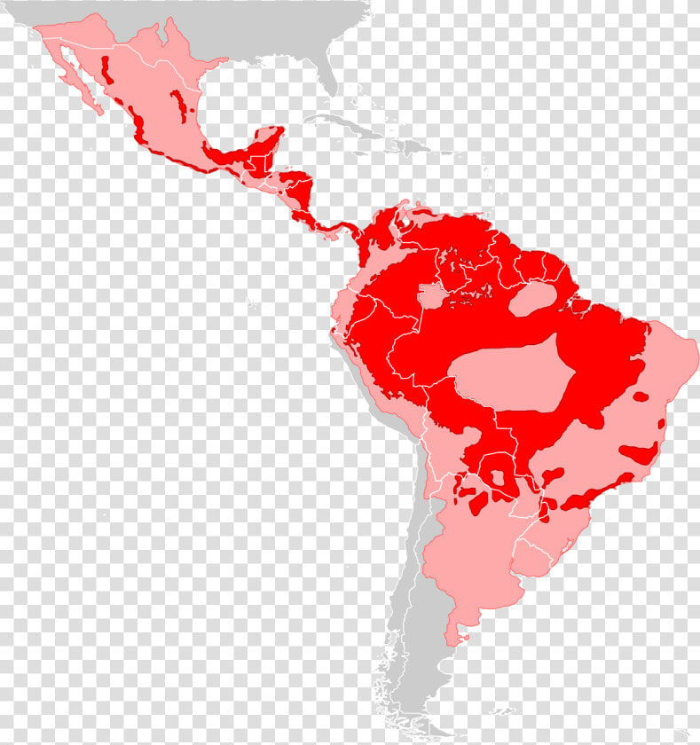 America Del Norte America Del Sur Y America Central  HD Png DownloadTransparent PNG