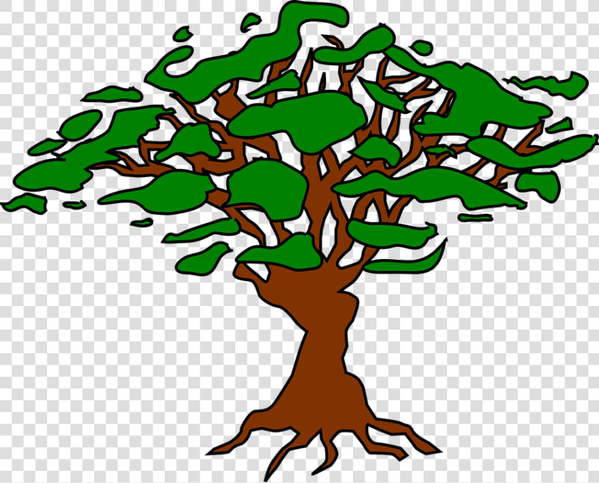 Árbol  Heráldica  Símbolo  Diseño  Icono  Gráfica   Portable Network Graphics  HD Png DownloadTransparent PNG