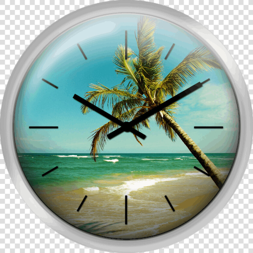 Formas De Um País Tropical   Wall Clock  HD Png DownloadTransparent PNG