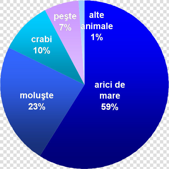 Common Sea Otter Food Distribution Ro   Circle  HD Png DownloadTransparent PNG