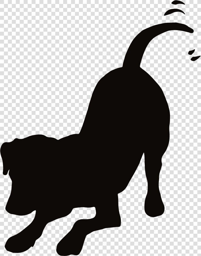 Transparent Majorette Clipart   Dog And Cat Playing Silhouette  HD Png DownloadTransparent PNG