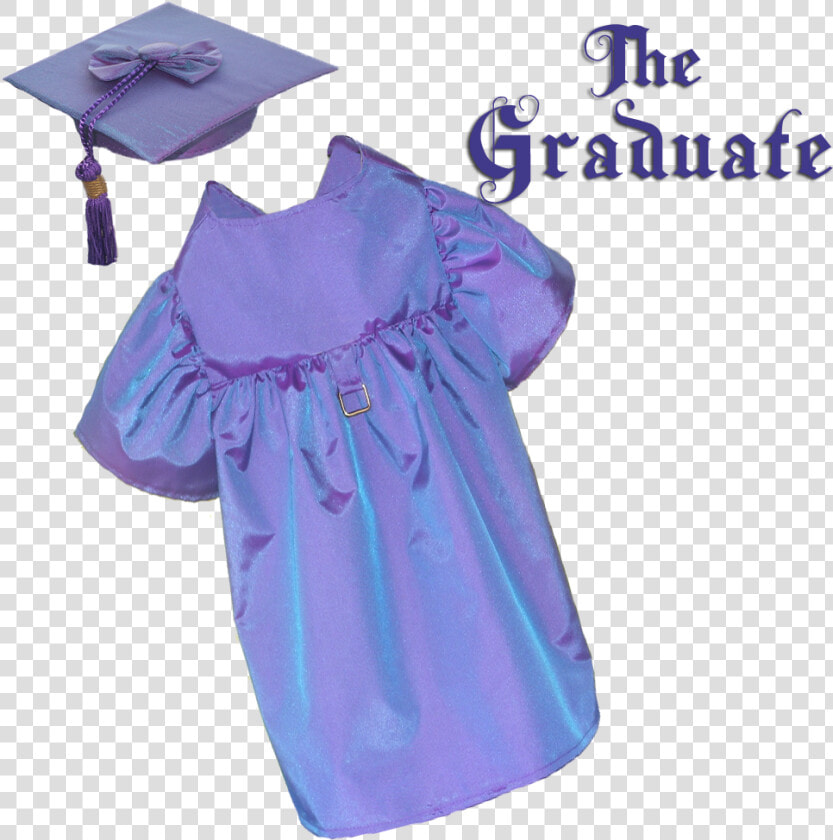 Academic Dress  HD Png DownloadTransparent PNG