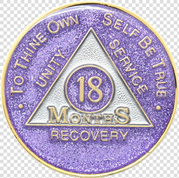 18 Months Purple Glitter Triplate Aa Medallions   Badge  HD Png DownloadTransparent PNG