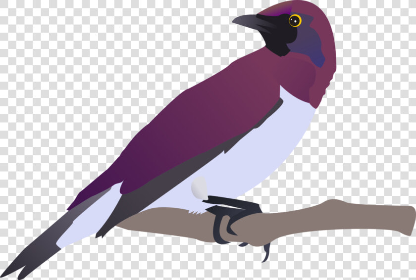 Exotical Bird Svg Clip Arts   Bülbül Clipart  HD Png DownloadTransparent PNG