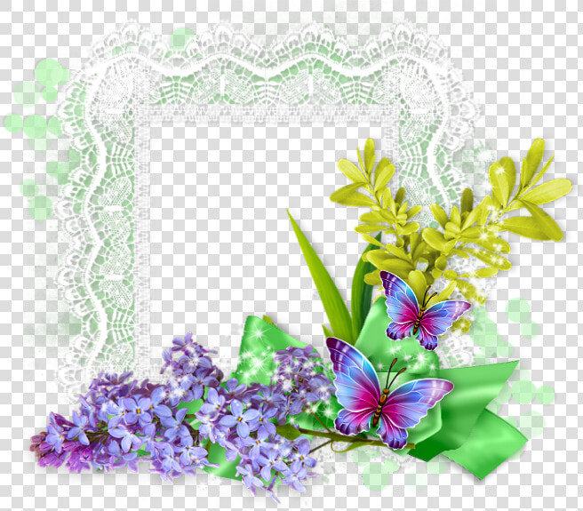 Gilliflower  HD Png DownloadTransparent PNG