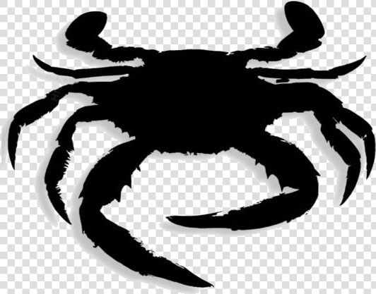 Crab Png Drawing   Freshwater Crab  Transparent PngTransparent PNG