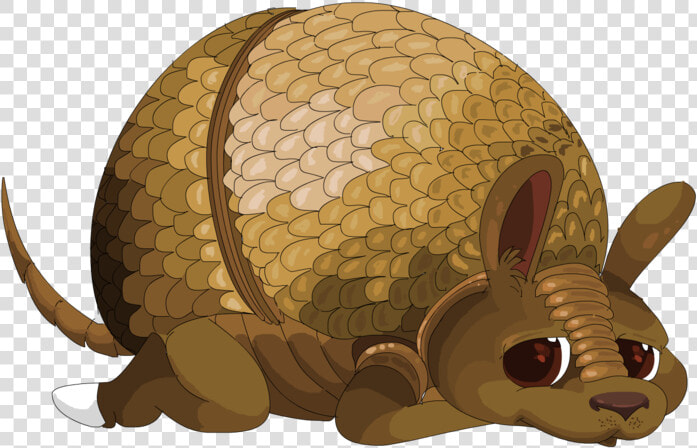 Armadillo  HD Png DownloadTransparent PNG