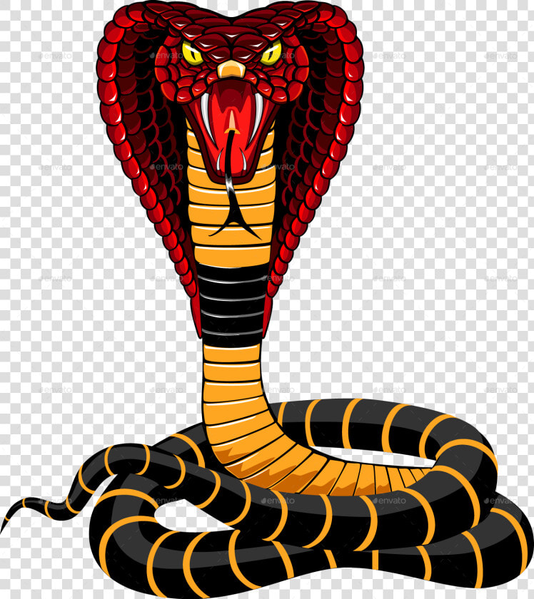 Cobra Png Image   Cobra Snake Clipart  Transparent PngTransparent PNG