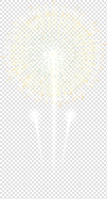 Fireworks Transparent Hi Re   Fireworks  HD Png DownloadTransparent PNG