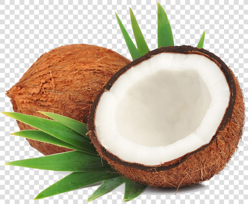 Coconut Transparent File   Transparent Background Coconut Png  Png DownloadTransparent PNG