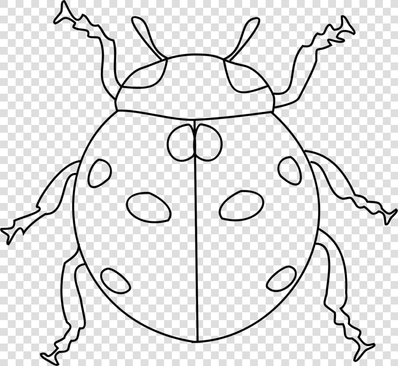 Ladybird Beetle Black And   Ladybird Images Black And White  HD Png DownloadTransparent PNG