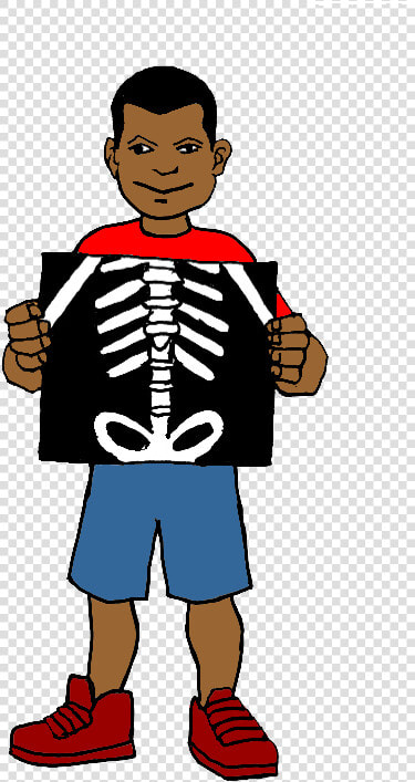 Xray Clip Art   X Ray Clipart  HD Png DownloadTransparent PNG