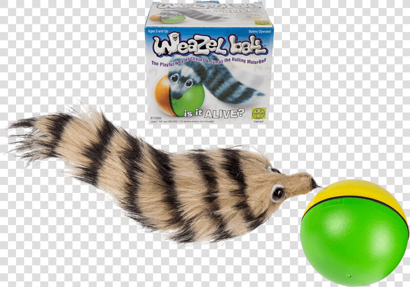 Animal Chase Ball Weasel Ball   Png Download   Weazel Ball  Transparent PngTransparent PNG