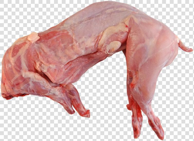 Rabbit  Whole  Raw  Cooking  Food  Meat  Uncooked   Rabbit Meat  HD Png DownloadTransparent PNG