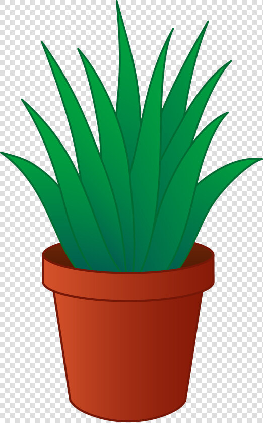 Aloe Vera Plant In Pot Clipart   Plant In Pot Png Clipart  Transparent PngTransparent PNG