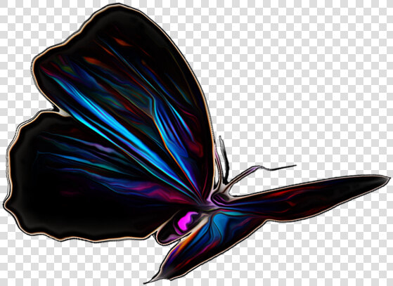 Pictures  Free Photos  Free Images  Royalty Free  Free   Butterfly  HD Png DownloadTransparent PNG