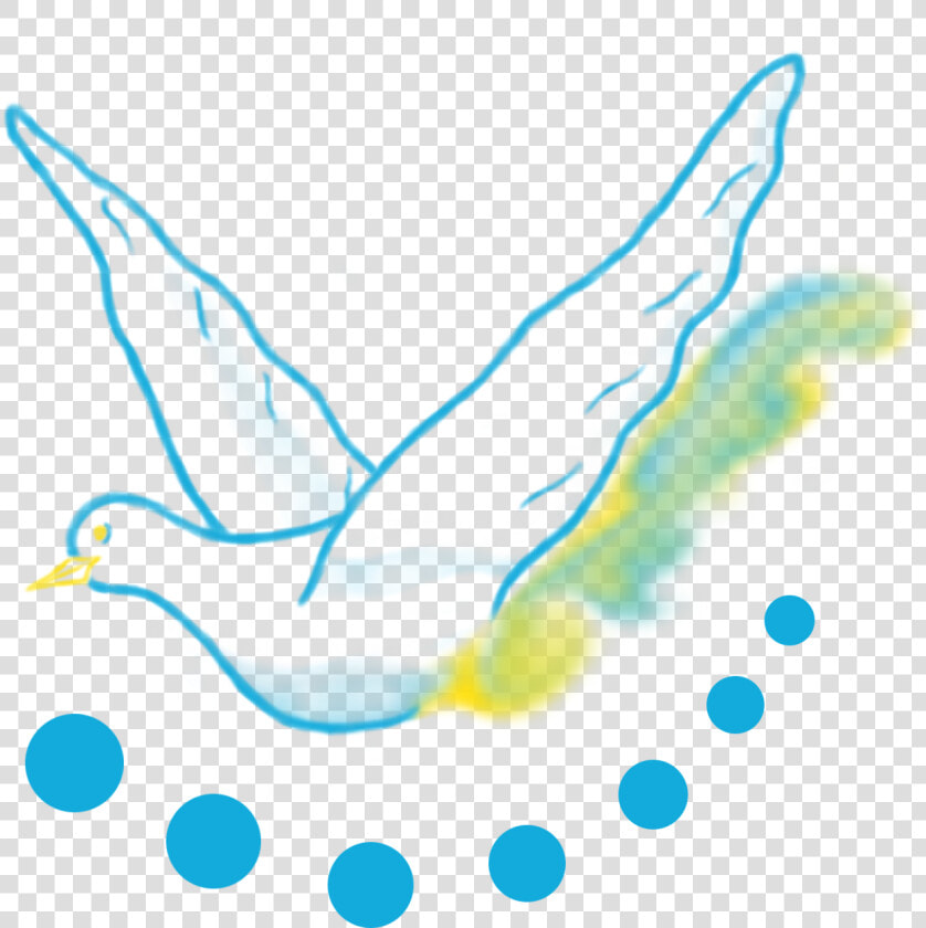 Seabird  HD Png DownloadTransparent PNG