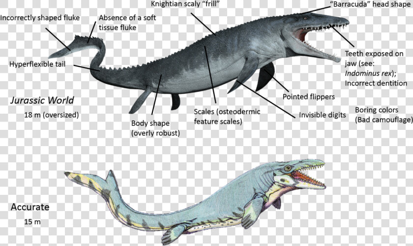 Spinosaurus The Fisher   Jurassic World Mosasaurus  HD Png DownloadTransparent PNG