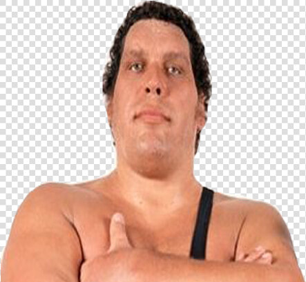 Andre The Giant 2018 Poster  HD Png DownloadTransparent PNG