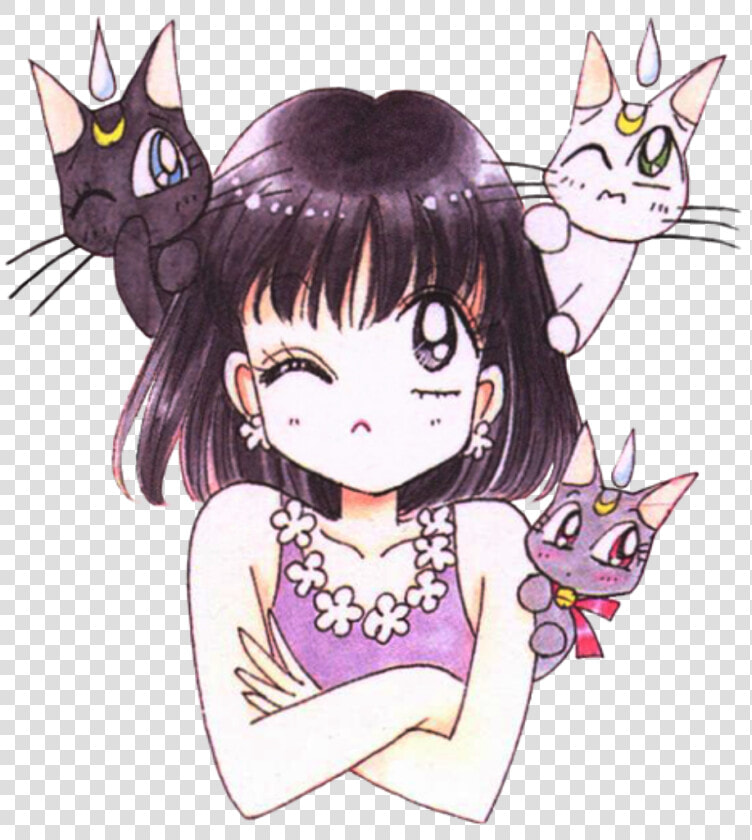  hotaru  hotarutomoe  sailorsaturn  luna  animegirl   Sailor Saturn Png  Transparent PngTransparent PNG