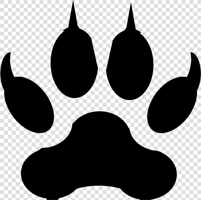 Paw   Jaguar Paw Clipart  HD Png DownloadTransparent PNG