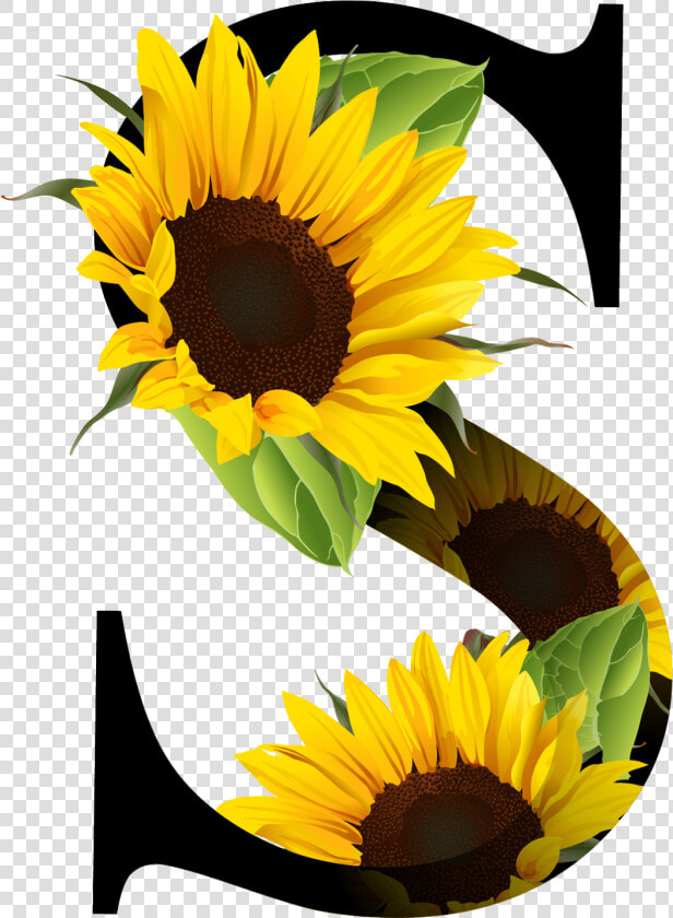 Letra S Con Girasoles  HD Png DownloadTransparent PNG