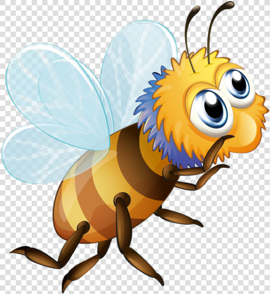 Bee Clipart  Buzz Bee  Free Vector Images  Vector Free    Clipart Buzz  HD Png DownloadTransparent PNG