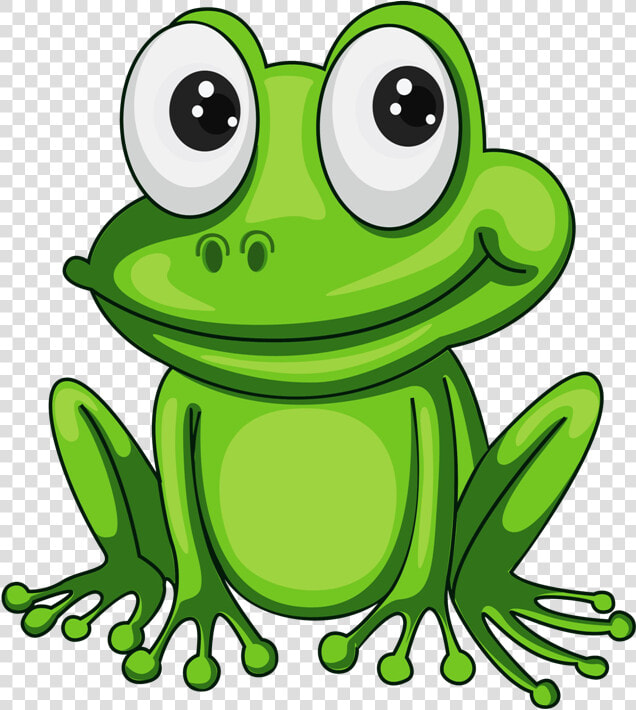 Фотки Frog Pictures  Frog Pics  Frog Illustration    Transparent Background Frog Clipart  HD Png DownloadTransparent PNG