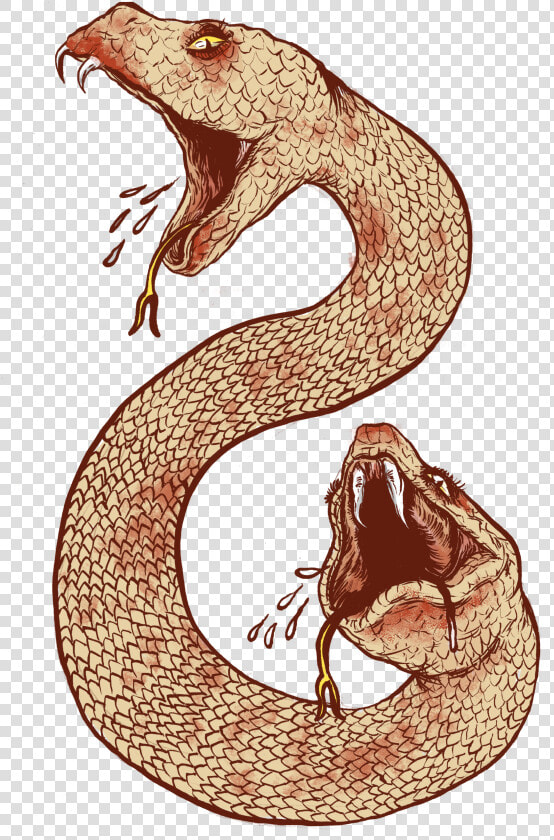 Snake Tattoo Clipart Ancient   Mythical Creature Amphisbaena  HD Png DownloadTransparent PNG